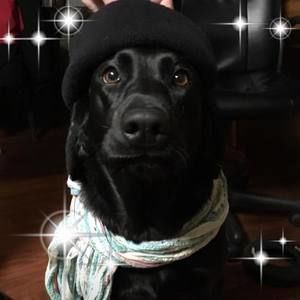 Meet your Posher, Sandy